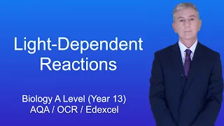 A Level Biology Revision (Year 13) "The Light-Dependent Reactions"