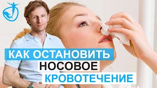 КАК ОСТАНОВИТЬ НОСОВОЕ КРОВОТЕЧЕНИЕ - Экстренная помощь при носовом кровотечении // Владимир Животов