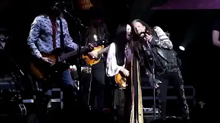 Steven Tyler - Piece of my Heart (Live 2017 Tokyo, Japan)