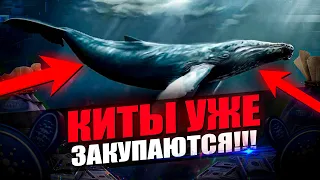 Назван потенциал роста Кардано! Новости и аналитика криптовалюта Cardano ADA, Кардано АДА!