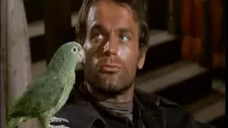 Terence Hill Joe der Galgenvogel