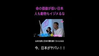 【山本太郎】命の価値が低い日本　人も動物もイジメるな！《れいわ新選組》#山本太郎 #政治 #short #shorts #れいわ新選組 #山本太郎切り抜き #切り抜き 動物愛護,ペット,捨て,飼い方