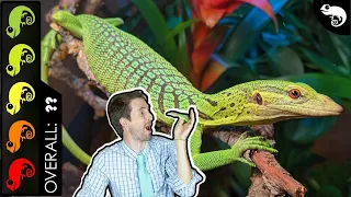 Green Tree Monitor, The Best Pet Lizard?