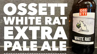 Ossett White Rat Hoppy Pale Ale By Ossett Brewery | British Craft Beer Review