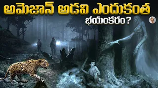 ఈ అడివిలోకి వెళ్తే , ఇక తిరిగి రాలేరేందుకు ? || ఇదొక అద్భుత ప్రపంచం || AMAZON FOREST Facts in telugu