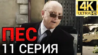 Сериал ПЕС - 11 серия - 1 сезон - Все серии подряд - Смотреть онлайн в хорошем качестве | 4К