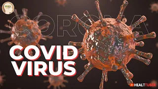 Coronavirus: The Ultimate Guideline for You