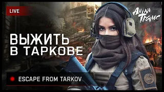 TARKOV | ВЫЖИТЬ В ВЕСЕННЕМ ТАРКОВЕ | День 95