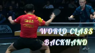 LIN Shidong Showing World Class Backhand!