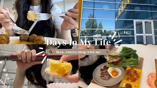 Days in My Life || IKEA, COSTCO SHOP WITH ME Vlog, grocery shopping in Canada