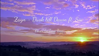 ZAYN - Dusk till Dawn ft. Sia (Cover)