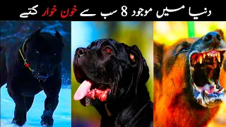 8 RARE DOGS THAT CAN KILL YOU IN 4 SECONDS!
