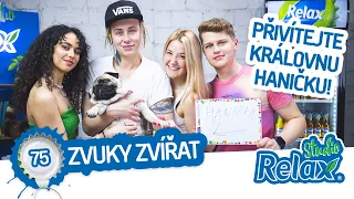 Nejroztomilejší host a #animalsounds challenge!🐶😺 Studio Relax - Díl 75.