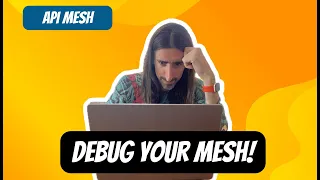 How to debug Adobe API mesh?