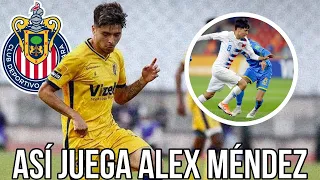 🚨ENTÉRATE ¿Cómo juega Alex Méndez? | Rumores Chivas | chivas hoy