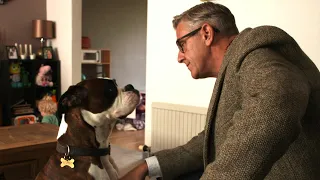 Dogs Behaving (Very) Badly S02E07 - Bulldog Lennox | Dog Training Tutorial