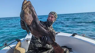 [09/2023] Подводная Охота на North West Island, QLD Australia, Коралловое Море Большой Барьерный Риф