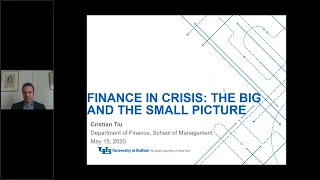 Finance in Crisis  The Big and the Small Picture