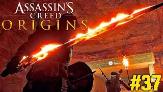 ICH BIN WIEDER DA !! Assassins Creed Origins #37 [FACECAM]