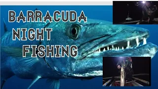 BARRACUDA FISHING/MAGDAMAGANG PANGINGISDA