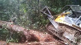 buldoser terjebak ditanah basah#buldozer #hutankalimantan #komatsu @dadiedandel1353