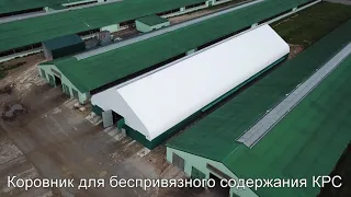 Ангар для беспривязного содержания КРС в с. Вощажниково