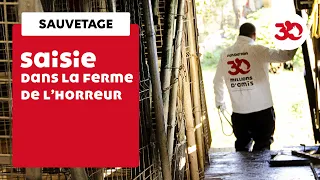 Saisie de 80 animaux dans la ferme de l'horreur