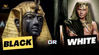 Were the Ancient Egyptians Black or White?