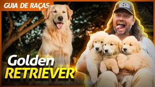 GOLDEN RETRIEVER, O GIGANTE BRINCALHÃO! | RICHARD RASMUSSEN