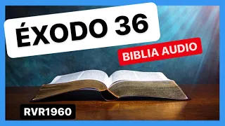 Exodo 36 - MOISÉS SUSPENDE LA OFRENDA DEL PUEBLO, CONSTRUCCION DEL TABERNÁCULO 📖Biblia Audio RVR1960