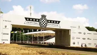 MERCEDES-AMG GT R @ Goodwood Festival of Speed