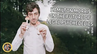 Hamilton Morris on the Future of Legal Psychedelics (Best of Office Hours)