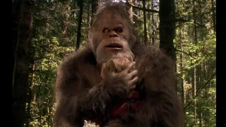 ''Harry returns to his Sasquatch Family''  - Harry and the Hendersons 1987
