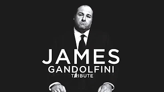 The Sopranos || James Gandolfini Tribute