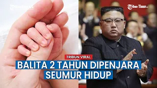 Kim Jong Un Penjarakan Balita 2 Tahun Seumur Hidup, ini Alasannya