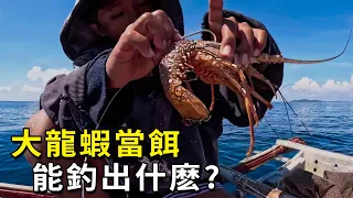 幾百一斤的大龍蝦當餌，卻總被吃白食，好在一條魚獲全回本了！