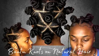 Bantu Knots on Natural Hair (with braiding hair)