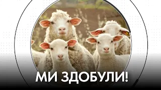 Русскоє лєто. Параліч по-запорізьки. Верховний Єрмак розростається | Йосиф Зісельс | "Час Ч"