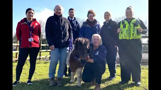 HorseWorld - Reuniting stolen Maisey with her owner