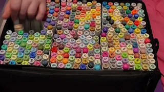 Organizing My 320 Ohuhu Marker Set