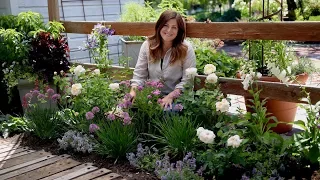 Tips for Planting a Cottage Garden! 🌸🌿// Garden Answer