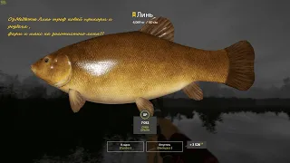 Russian Fishing 4🔥 Оз.Медвежье 🔥Роздача фарм !!! 🔥🔥 троф линь !!