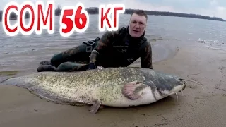 Сом в марте. Подводная охота. CATFISH  56 KG