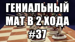 Шахматные задачи мат в 2 хода. Выпуск №37. Шахматы задачи. Мат в два хода - решение задач.