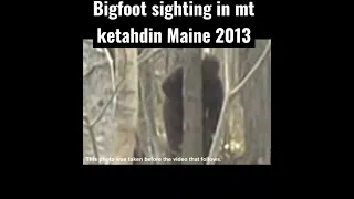 Bigfoot sighting at mt kataddin Maine 2013