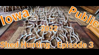 Shed hunting Iowa public land! Episode 3, 2022, Big match set found!!