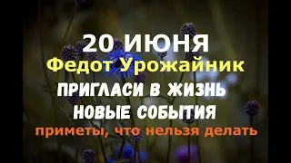 20 июня. Федот Урожайник. ПРИГЛАСИ В ЖИЗНЬ НОВЫЕ СОБЫТИЯ/Народные приметы