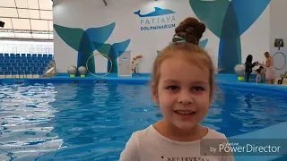 PATTAY NEW DOLPHINARIUM. Декабрь 2019. 700 бат - взрослый VIP. 450 - детский VIP. А Вы с нами!?