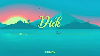 Dick - Starboi3, Doja Cat - Remix Pagodão (TRIMOX REMIX)