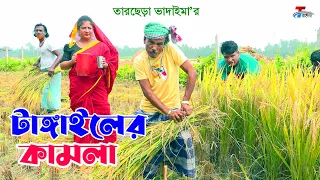 টাঙ্গাইলের কামলা | তারছেরা ভাদাইমা । Tangailer Kamla । Tarchera Vadaima | Bangla Koutuk 2024